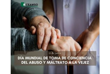 Articulo