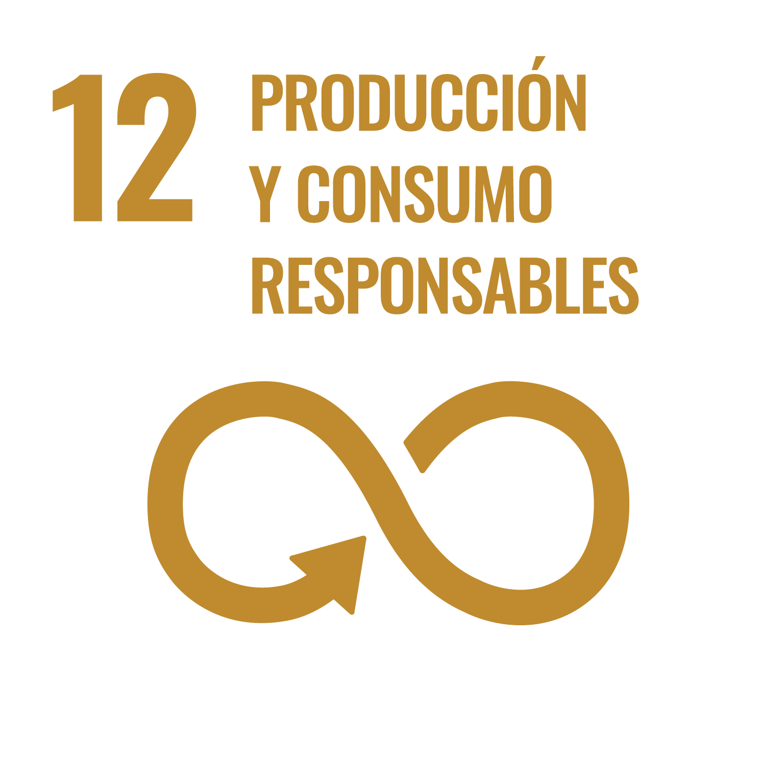 ODS 12