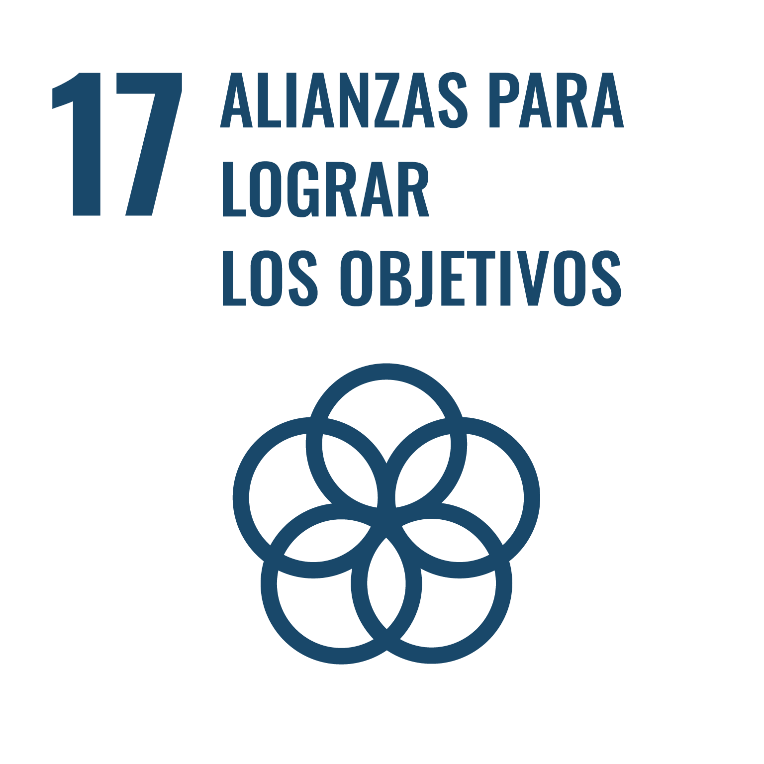ODS 17